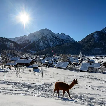 Alpakahof Wechs Bauernhof *