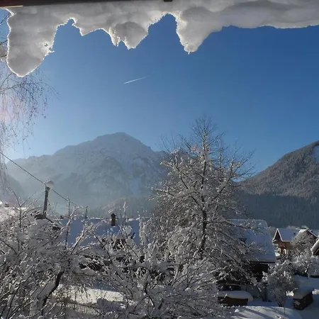 Alpakahof Wechs Bauernhof Bad Hindelang