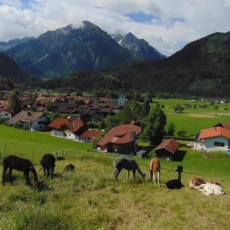 Alpakahof Wechs Bad Hindelang