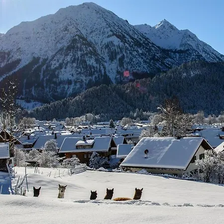 Alpakahof Wechs Bauernhof