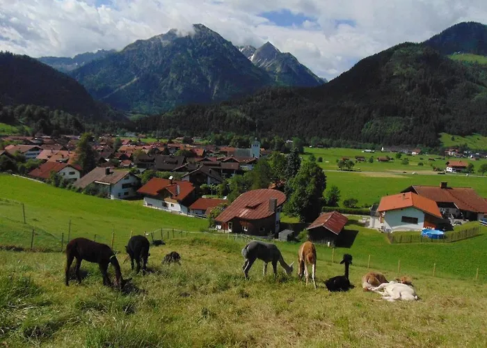 Alpakahof Wechs Bad Hindelang