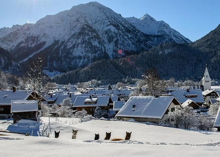 Alpakahof Wechs Farm stay