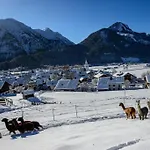 Alpakahof Wechs