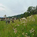 Farmház Alpakahof Wechs *