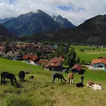 Alpakahof Wechs Bad Hindelang