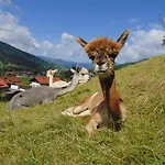 Alpakahof Wechs Farmház Bad Hindelang